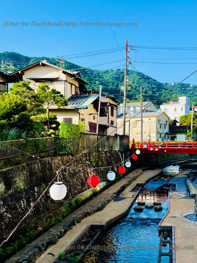 photo_Otter the Dachshund_travel with dogs_shizuoka_atami_ajiro-doggy-paths_網代_犬連れ旅行_犬と旅行_網代の町の風景
